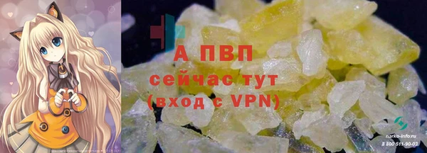 apvp Богданович